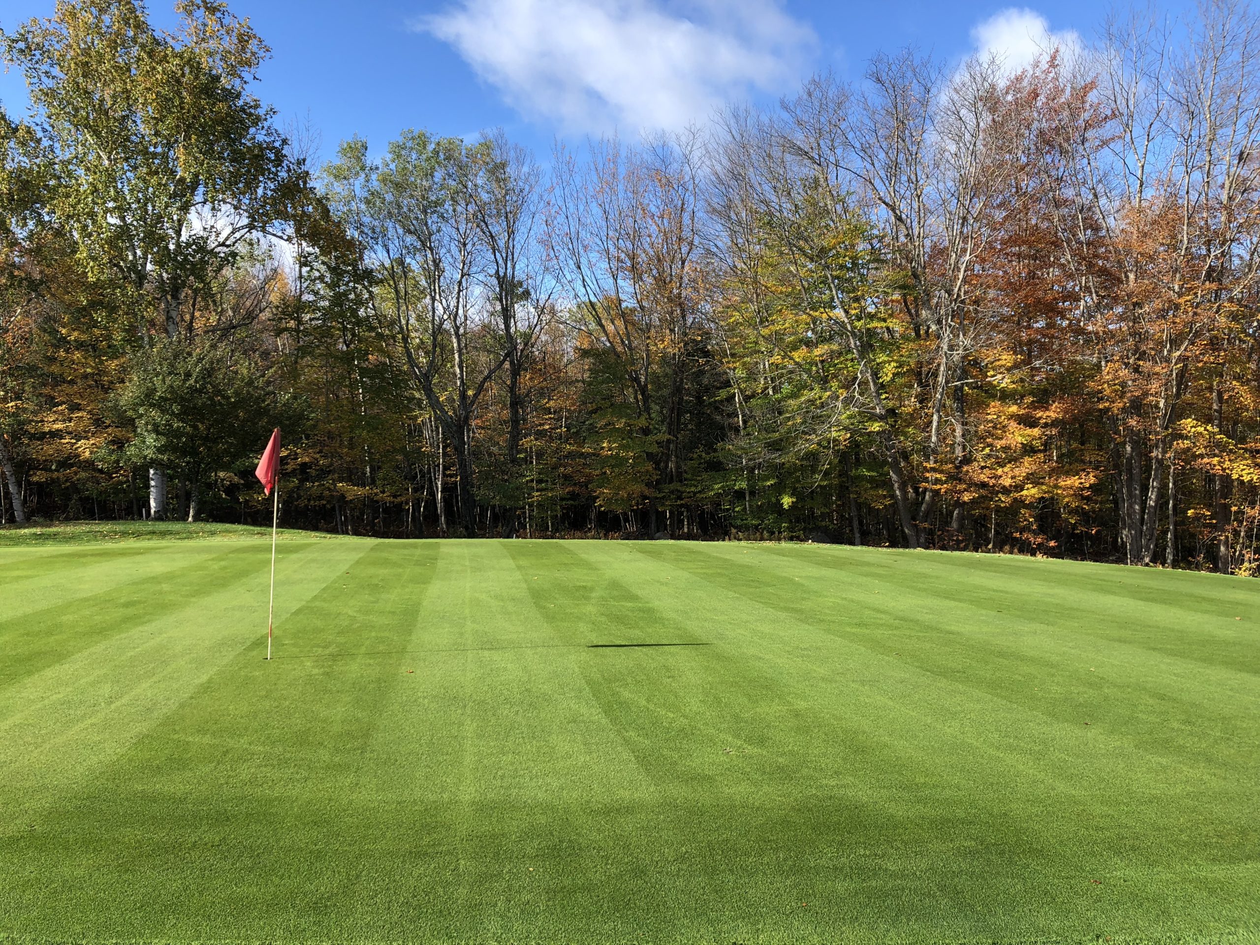 1 green at the start of fall