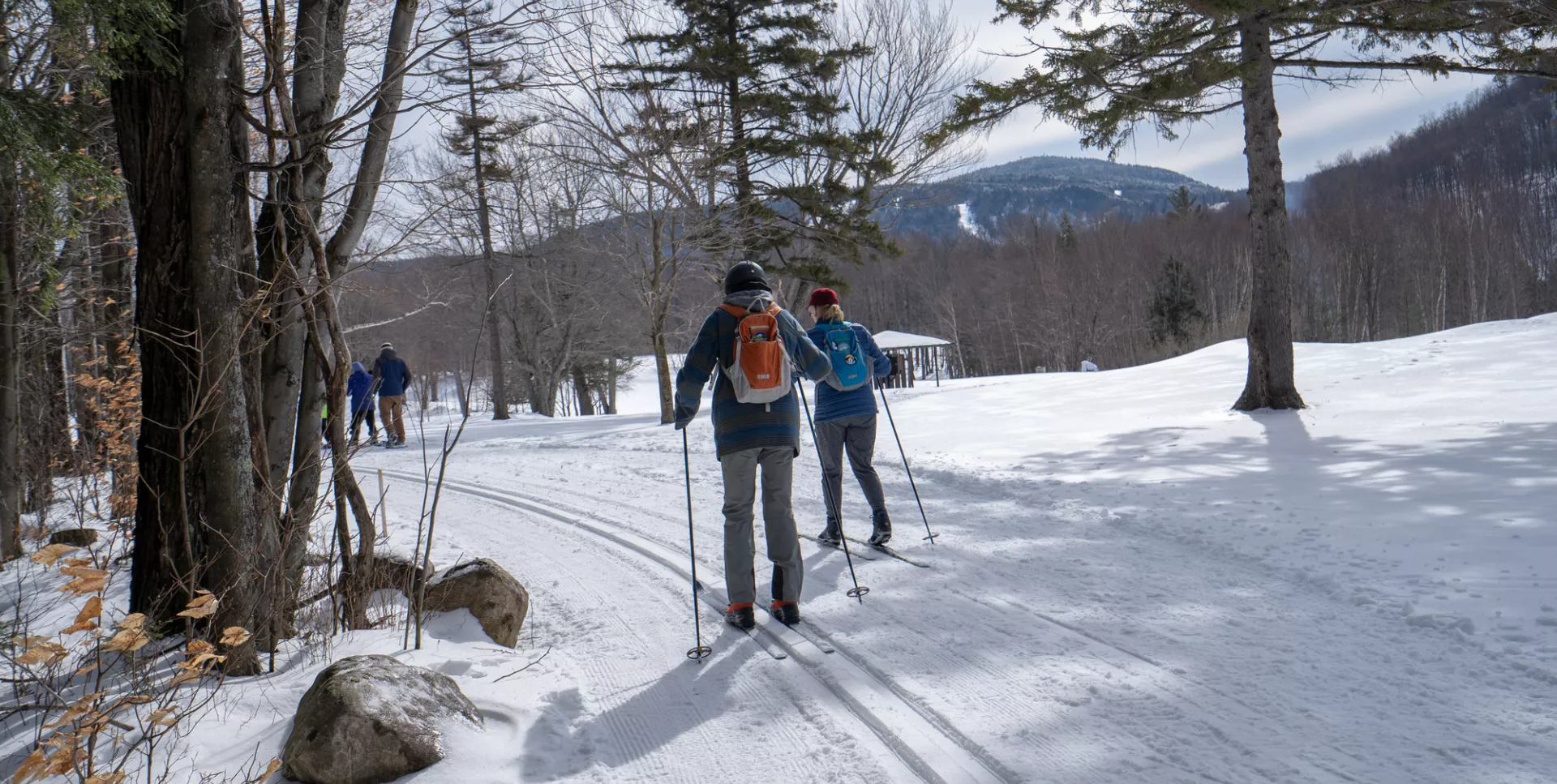Cross country skiers passing by 9 green