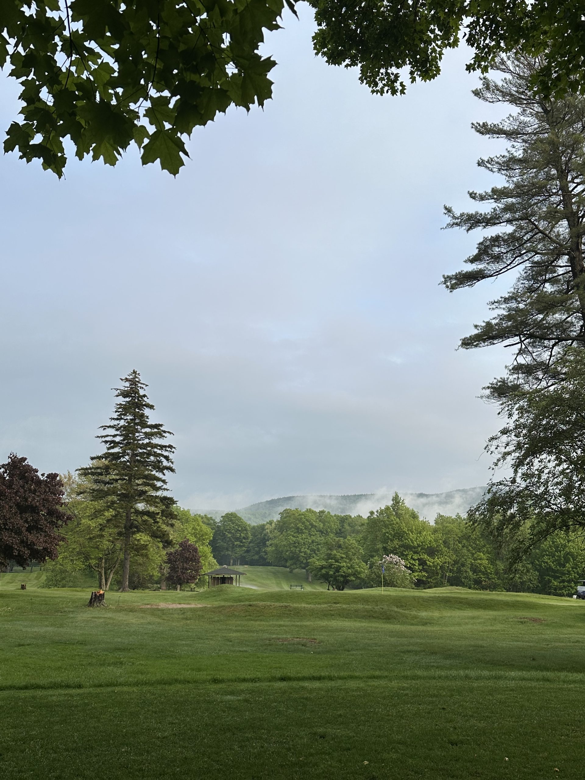 View of Big Tupper on spring evening from 9 tee