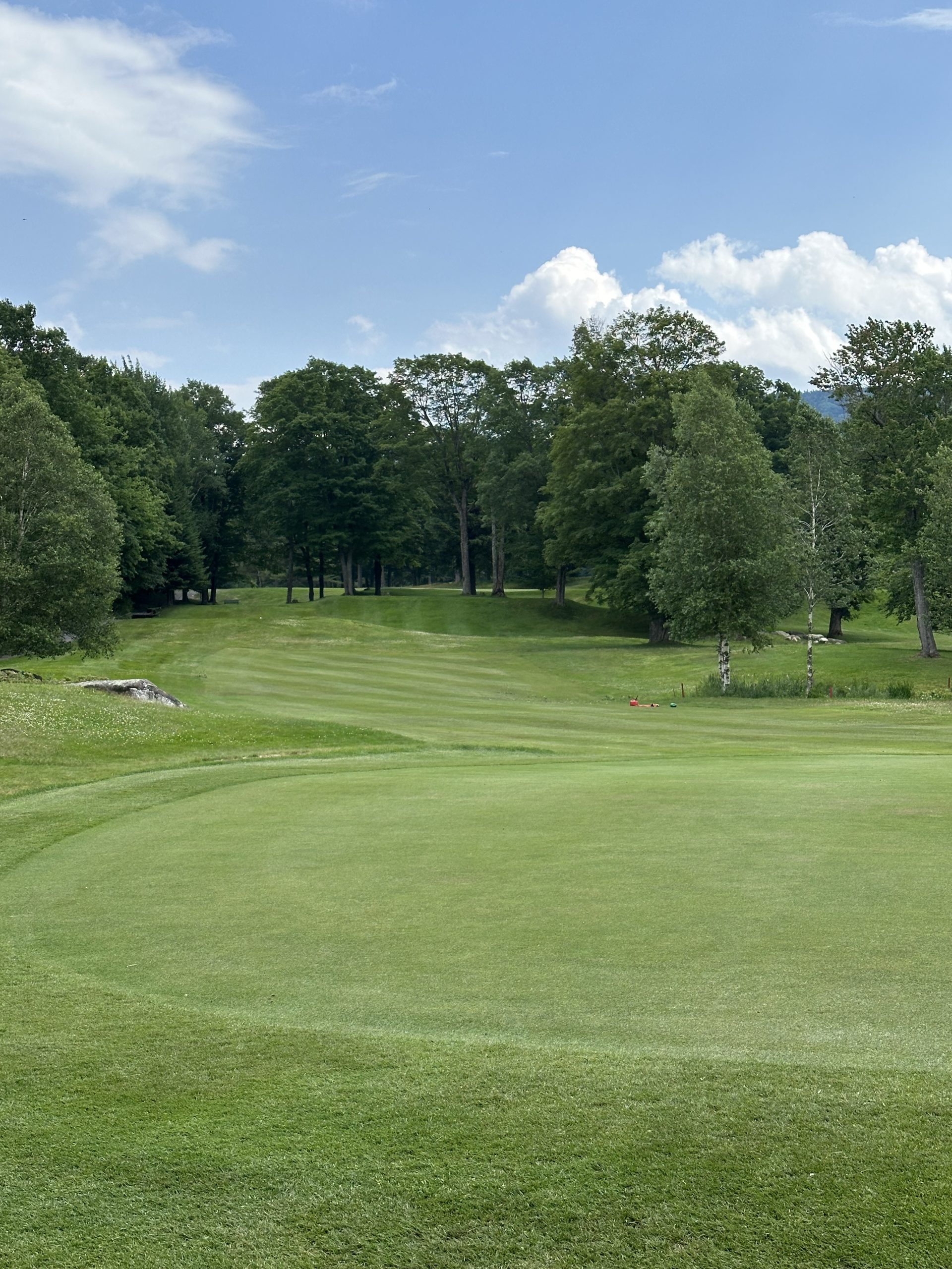 Hole 8 green