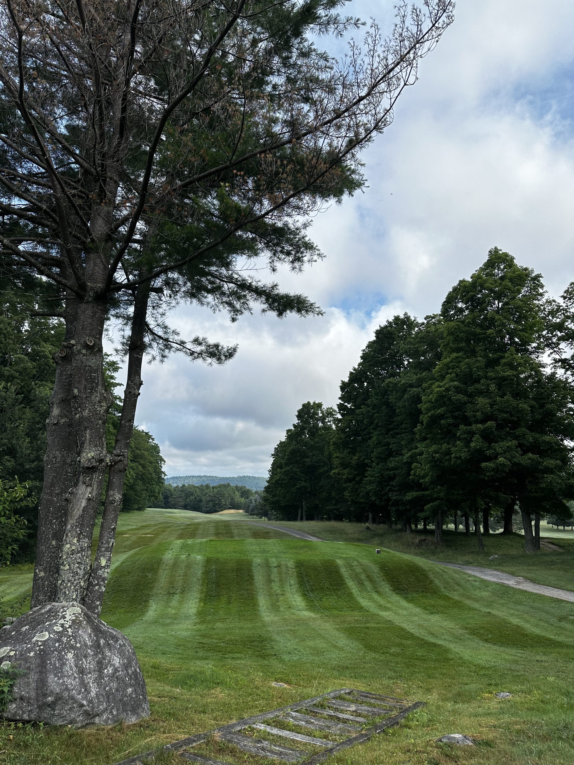 16 tee with strong stripes